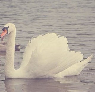 anjady's profile picture. You Say I Dream TOO BIG; I Say You Think too small !