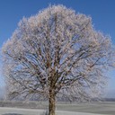 Sven Keller - @SvenLilo - Twitter