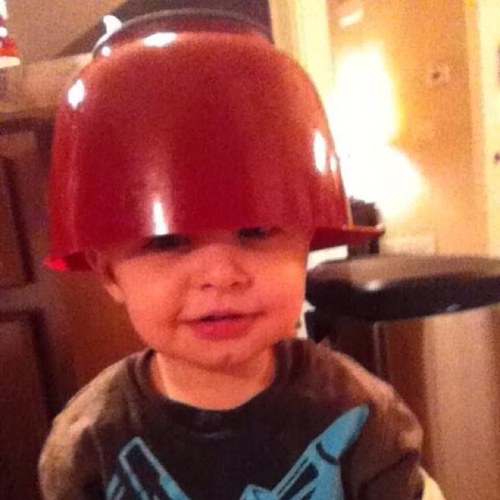 SandeeBeez's profile picture. 