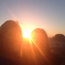 Aly Addison - @aly1907 - Twitter