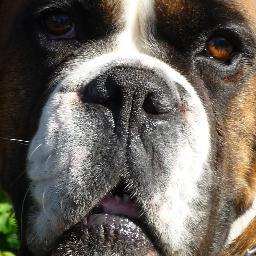 NeilThornber's profile picture. 