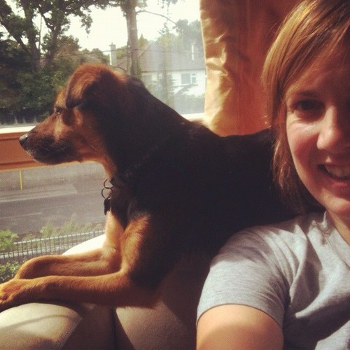 I like surfing, I like dogs, I like music, I like tea, I like pizza.....that's me!
