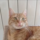 Sandra Labahn - @bmvzs - Twitter