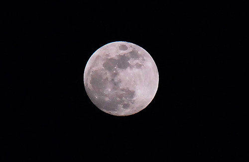 benwald's profile picture. 