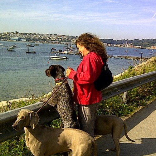 SharonHaseley's profile picture. Passionate about travel,love our life in France ,Nuts about Dogs have a soft spot for Weimaraners ❤️❤️