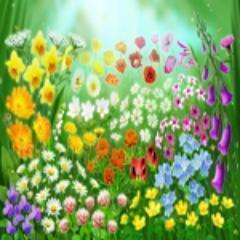 Unless we revolt against this craving for experience and let go the manifested altogether, there can be no relief. We shall remain trapped.-Sri Nisargadatta