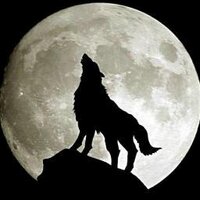 Unknown (@back4romhell) 's Twitter Profile