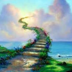 kipimydreams's profile picture. Отдых в лучших отелях мира со скидками до 70%