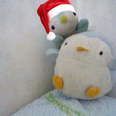 δでる太δさんのプロフィール画像