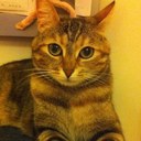 Barbara Zanin - @69birba - Twitter