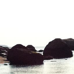 clerkin_lucy's profile picture. 