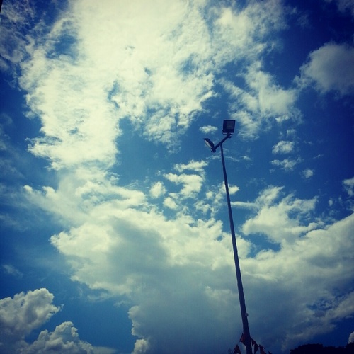 AkechiTung's profile picture. Locus
Cat
Her