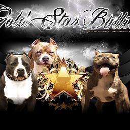 http://t.co/FwhILL3P RAZORS EDGE, GOTTI PIT BULLS