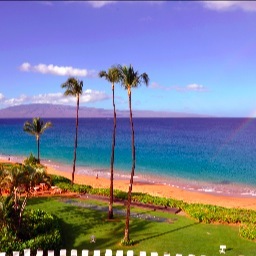 alohalil's profile picture. aloha, says it all