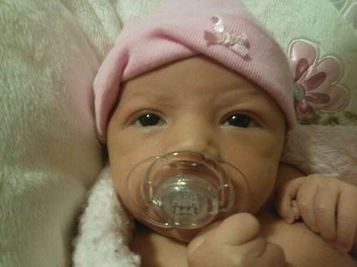 GDLMexicutioner's profile picture. 