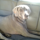 Wayne Bedwell - @WBedwell - Twitter