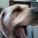 paula dean - @ddeanopla - Twitter