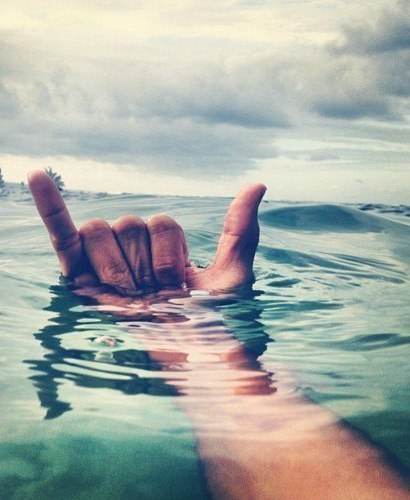 mc_lass's profile picture. 