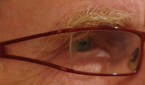 JaapStavi's profile picture. 