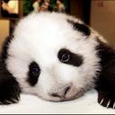 eden booth - @edenboo - Twitter