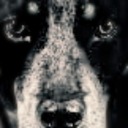 Gary Sult Jr - @g_sult - Twitter