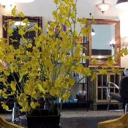 Little Flower Day Spa Mountain Brook Village 
Full Service Hair Salon - Nails -  Therapeutic Massage - Boutique -