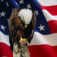 Chris Thomas (@k9hpc) 's Twitter Profile