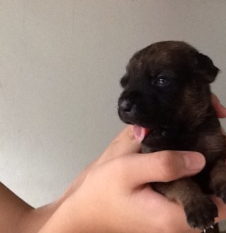 adamlee556's profile picture. 