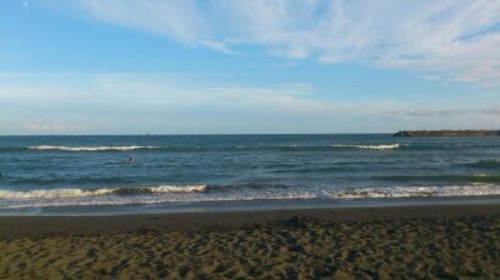 CocaSo709's profile picture. new
ふおろみ