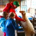 Farm-Based Education (@farmbaseded) Twitter profile photo