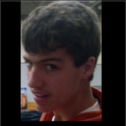 DinoProbs's profile picture. 