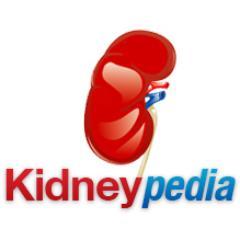 Your complete resource for all things to do with kidney disease and kidney stones. Everything explained in basic terms.