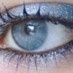 Diane D (@oakice) Twitter profile photo Diane D (@oakice) Twitter profile photo