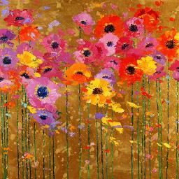 gotkhanfidence's profile picture. 