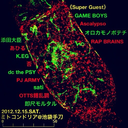 渋谷club bar Family奇数月第三土曜日のデイイベントCWPのアカウントです。