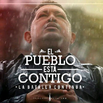 berbeciapedro's profile picture. 