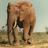 Sammer1944's profile image