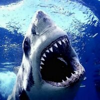 Henry Northmore (@henrynorthmore) 's Twitter Profile Photo