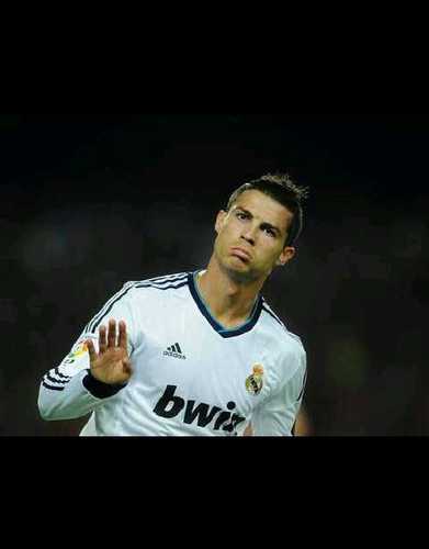 I Follow Back
