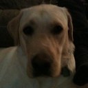 Ross Bennett - @RossBennett99 - Twitter