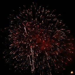 thetruevictim's profile picture. Follow me on my journey and learn why I stand by the statement, “Guilty Until Proven Innocent.”