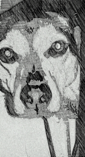 ENBrighton's profile picture. 