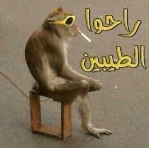 انسان عادي