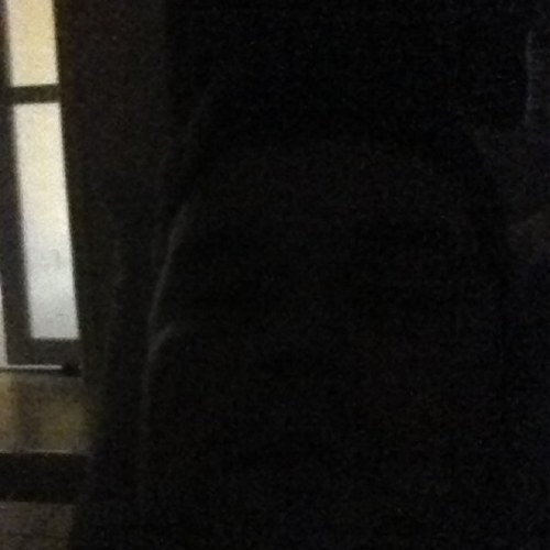 fssp23's profile picture. 