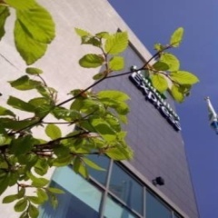 arthurily's profile picture. Ich fole den attraktivsen Ladies von Twitter! Folgst Du mir auch?