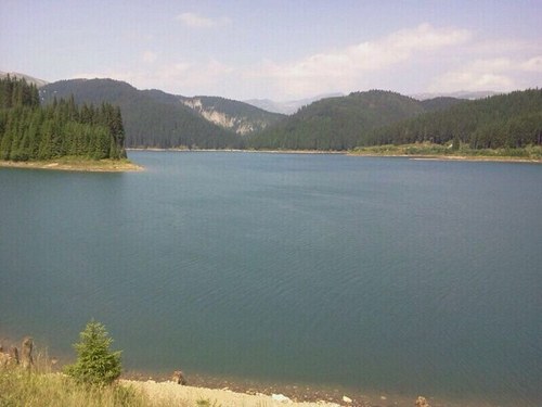 bdr7678's profile picture. 