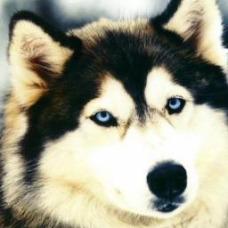 natyellivitoria's profile picture. 