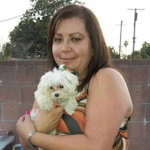 mcbarradas's profile picture. 