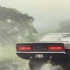 probokser's profile picture. Follow me! Please!