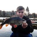 Nico Kaiser - @SunCruiser26 - Twitter